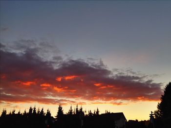 Low angle view of silhouette trees against sky at sunset