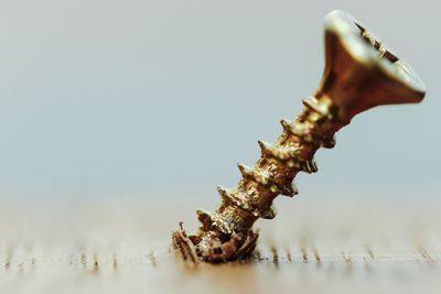 Close-up of human hand on table