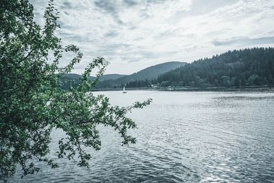 Scenic view of lake in forest against sky