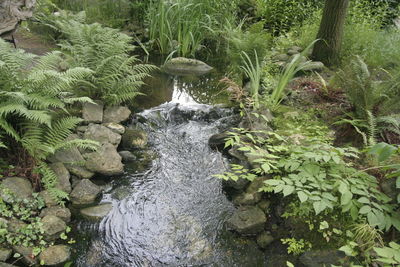 Stream flowing through rocks