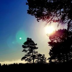 Low angle view of silhouette trees against sky during sunset