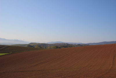 Scenic view of field against clear blue sky