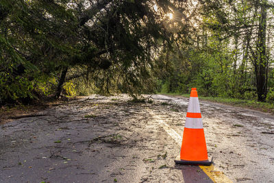 traffic cone