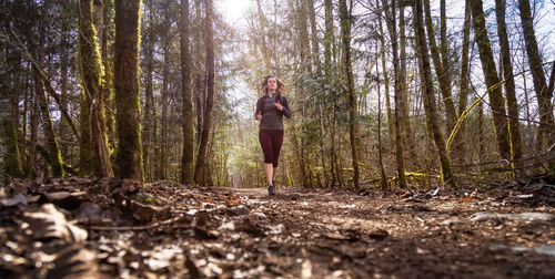 Woman standing by tree trunks in forest