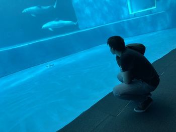 Side view of man looking at dolphins swimming in fish tank aquarium