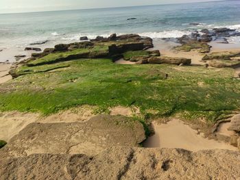 Scenic view of beach