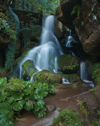 Waterfall in forest
