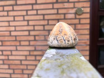 Close-up of stone wall