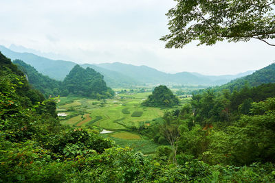 Scenic view of landscape against sky