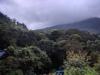 Scenic view of tree mountains against sky