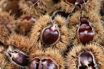 High angle view of fruits