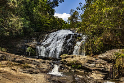 Scenic view of waterfall in forest