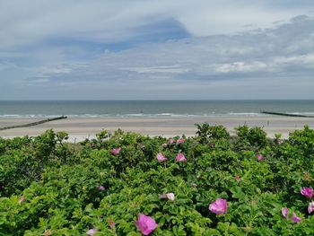Scenic view of sea against cloudy sky