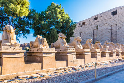 Avenue of the sphinxes at the karnak temple in luxor, egypt