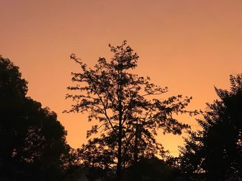 Silhouette trees against sky during sunset