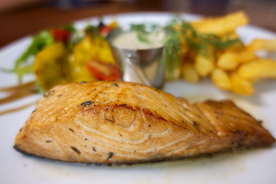 Close-up of meal served in plate