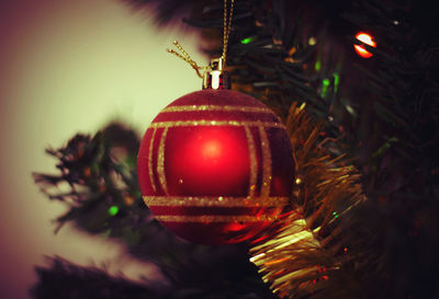 Close-up of illuminated christmas tree at night