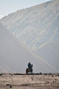 Man riding horse on land