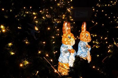 Illuminated christmas tree at night