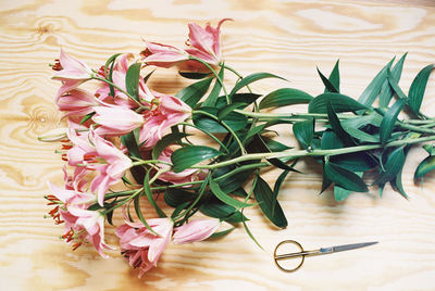 Close-up of plant