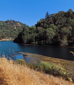 Scenic view of lake against clear sky