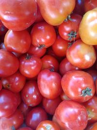 Full frame shot of tomatoes