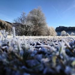 Scenic view of snow covered landscape against blue sky