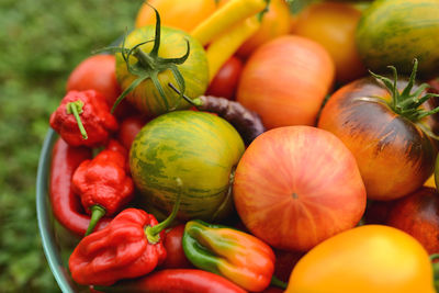 Close-up of tomatoes