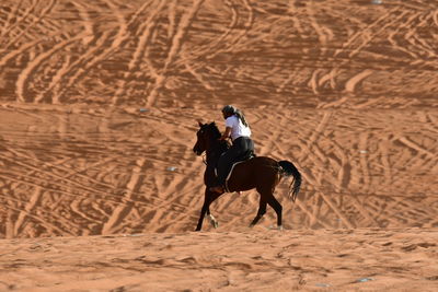 Man riding horse on sand