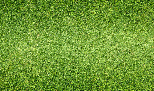 Full frame shot of soccer field