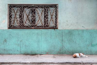 Graffiti on wall of building
