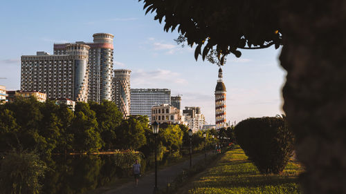 City landscape in batumi. beautiful nature in the city of georgia. high quality photo