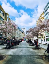 Street amidst trees in city against sky