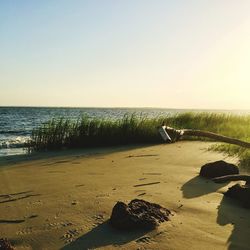 Scenic view of beach against sky