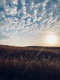 Scenic view of field against sky during sunset