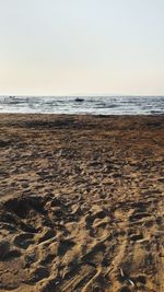 Scenic view of beach against clear sky