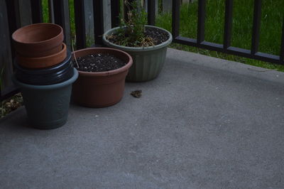 Close-up of potted plant on table