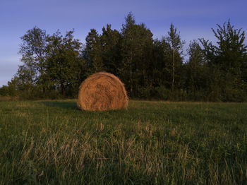 Hay bales on field against sky