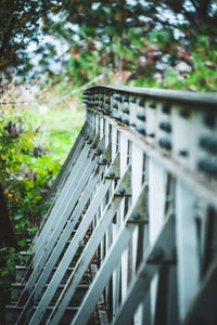 Close-up of railing against trees