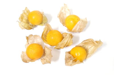 Close-up of food against white background