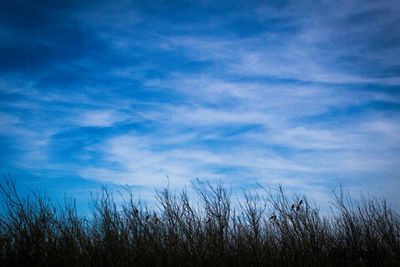 Scenic view of landscape against cloudy sky