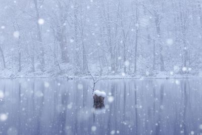 Close-up of person on frozen tree