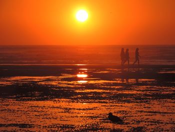 Scenic view of sea at sunset