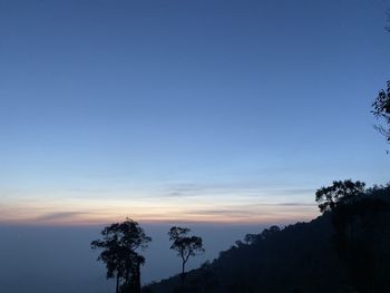 Low angle view of silhouette trees against sky at sunset
