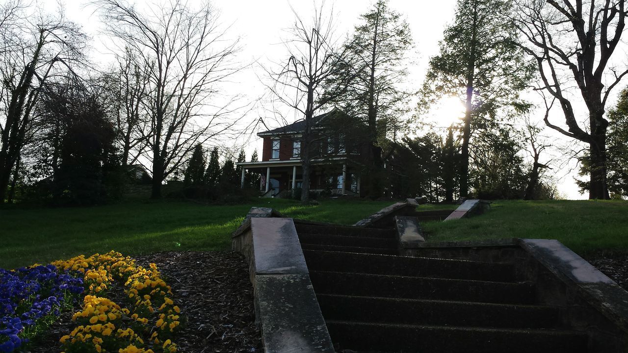 Dusk stairs