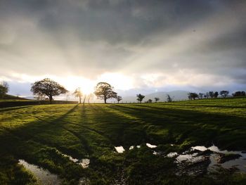Scenic view of field against sky