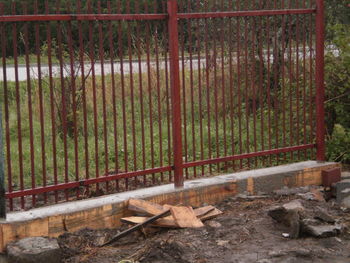 Trees growing in greenhouse