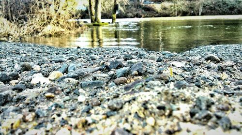 Surface level of river