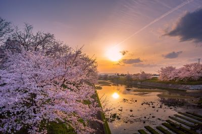 Scenic view of river against sky during sunset