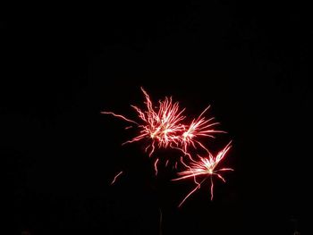 Low angle view of firework display